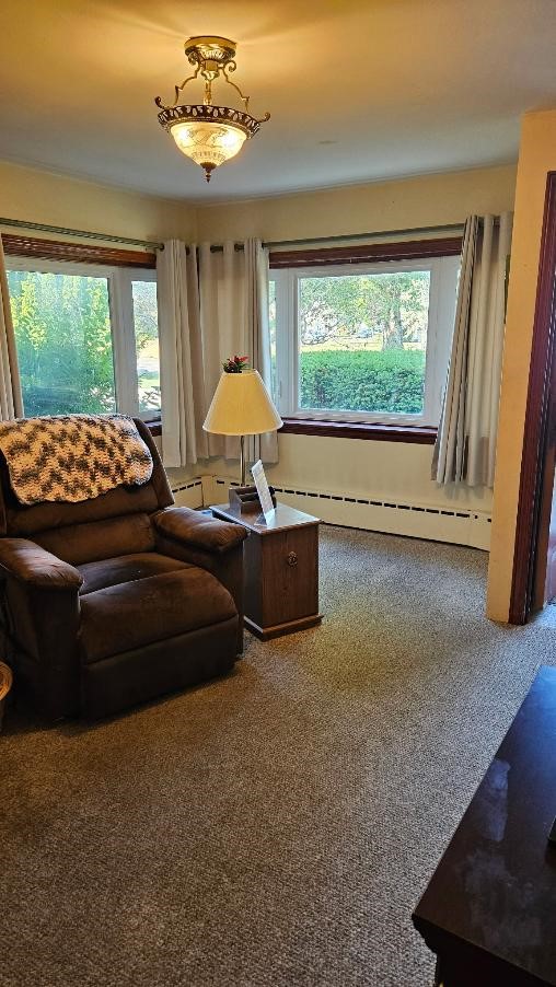 6875 Nash Road Wheatfield, NY 14120 - Photo 25 of 49
