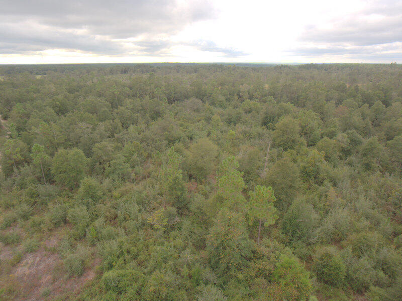 Tbd Wiggins Road Holt, FL 32564 - Photo 24 of 39 DJI_0044