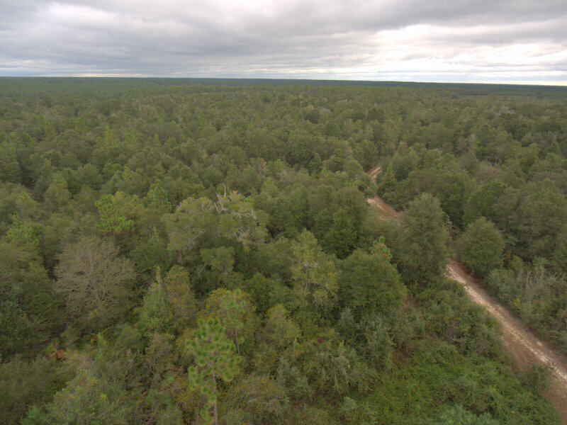 Tbd Wiggins Road Holt, FL 32564 - Photo 25 of 39 DJI_0045