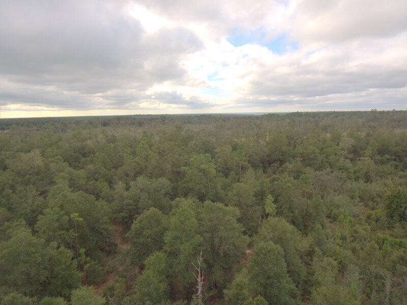 Tbd Wiggins Road Holt, FL 32564 - Photo 29 of 39 DJI_0049
