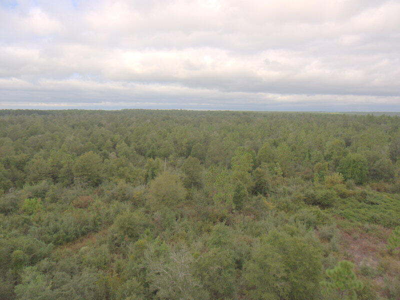 Tbd Wiggins Road Holt, FL 32564 - Photo 30 of 39 DJI_0050