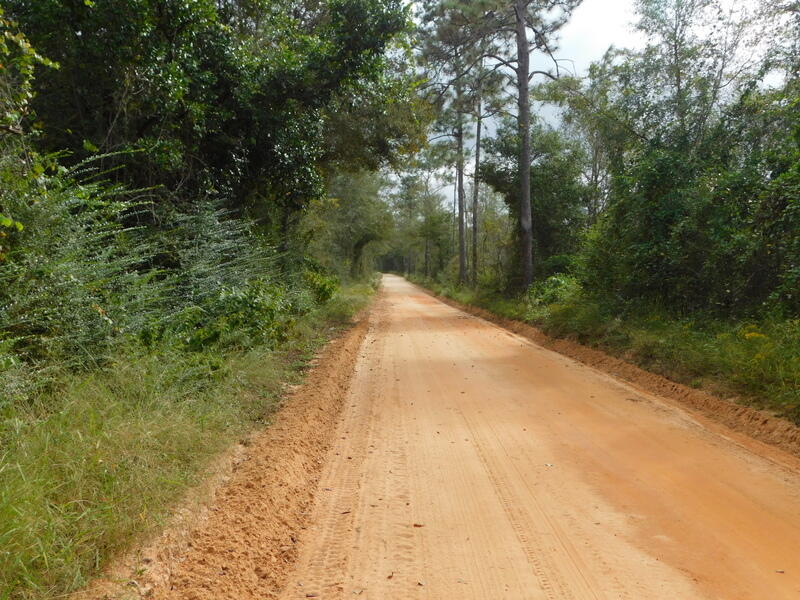 Tbd Wiggins Road Holt, FL 32564 - Photo 3 of 39 DSCN9419