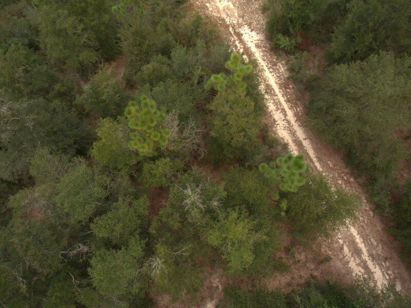 Tbd Wiggins Road Holt, FL 32564 - Photo 32 of 39 DJI_0052
