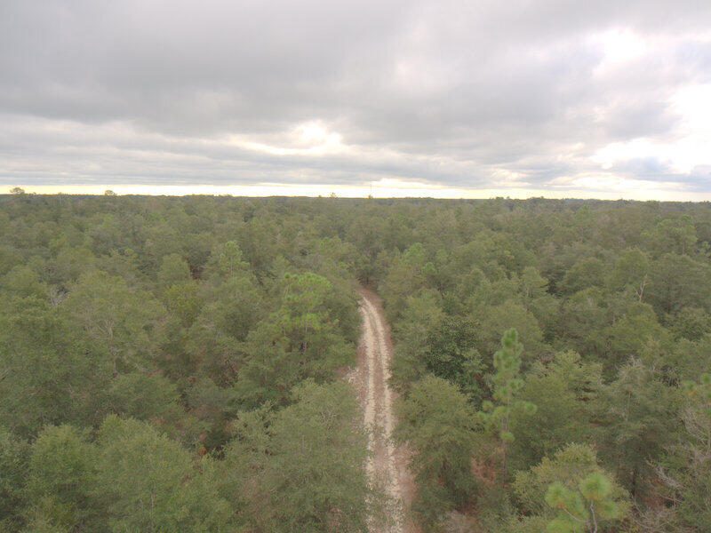 Tbd Wiggins Road Holt, FL 32564 - Photo 34 of 39 DJI_0054
