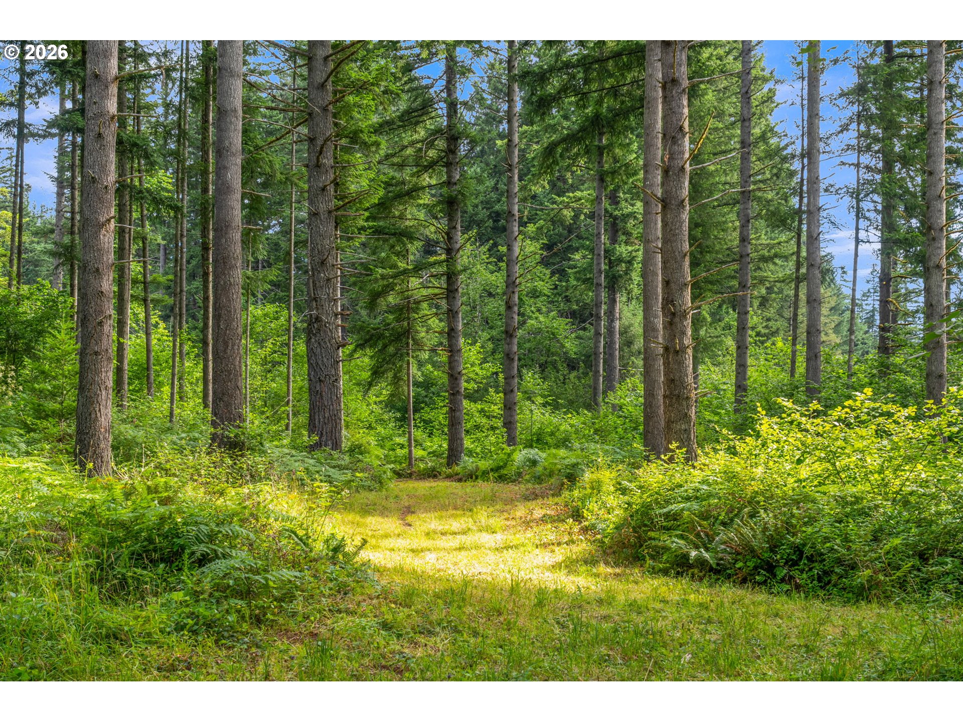 3832 Northeast Cavitt Road Camas, WA 98607 - Photo 4 of 44