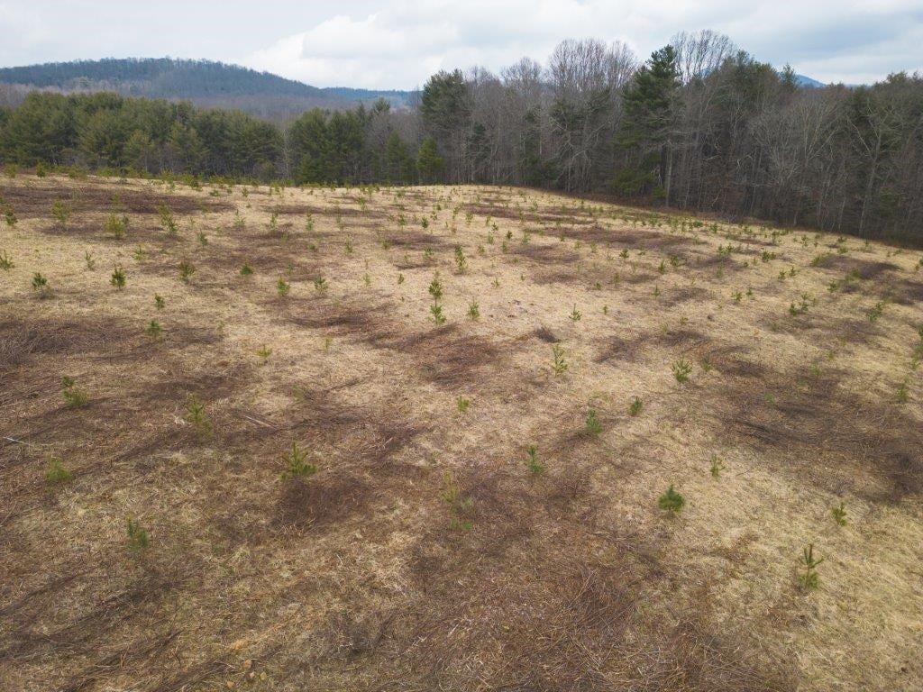 Tbd Long Mountain Road Southwest Willis, VA 24380 - Photo 14 of 66 Gallery Image 14