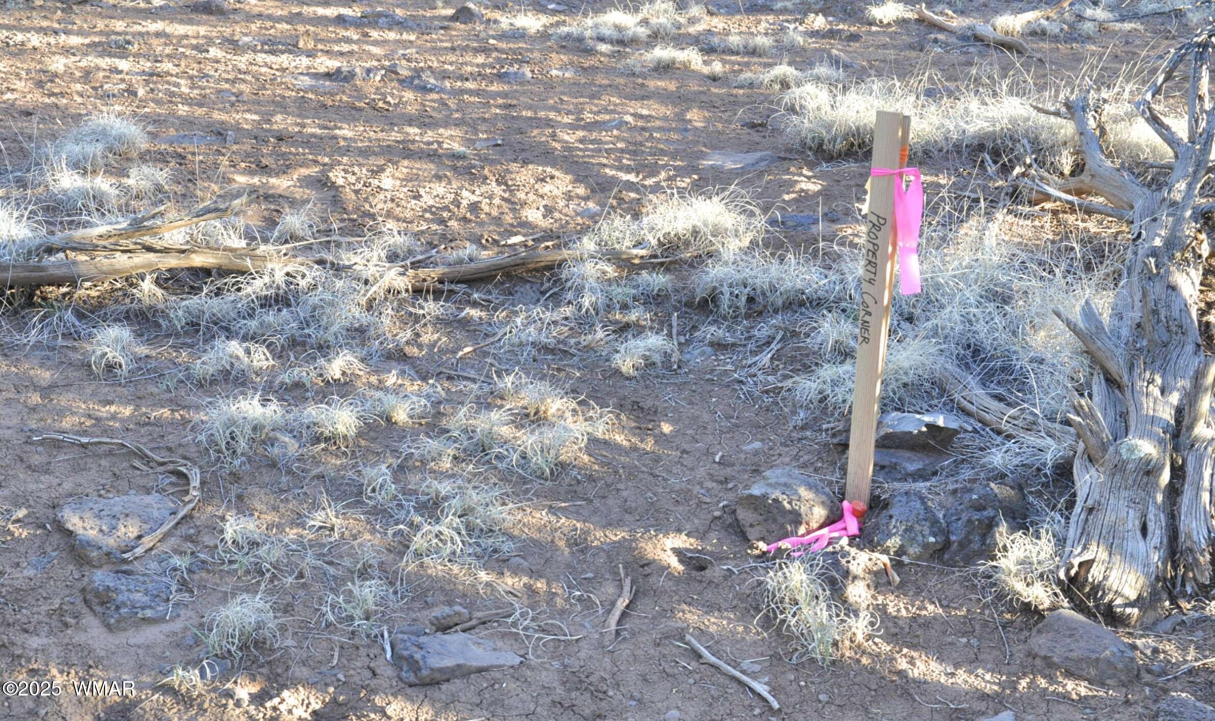 11 Lodge Pole Road Show Low, AZ 85901 - Photo 14 of 16