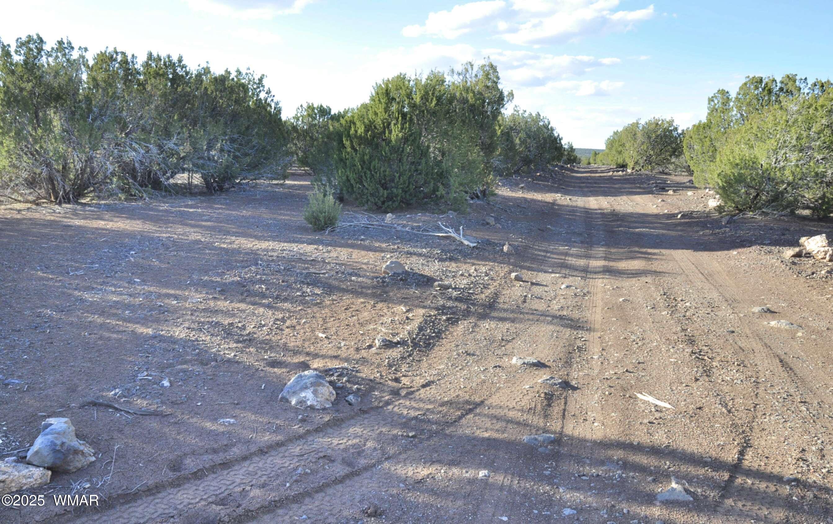 11 Lodge Pole Road Show Low, AZ 85901 - Photo 2 of 16 a view of road and trees