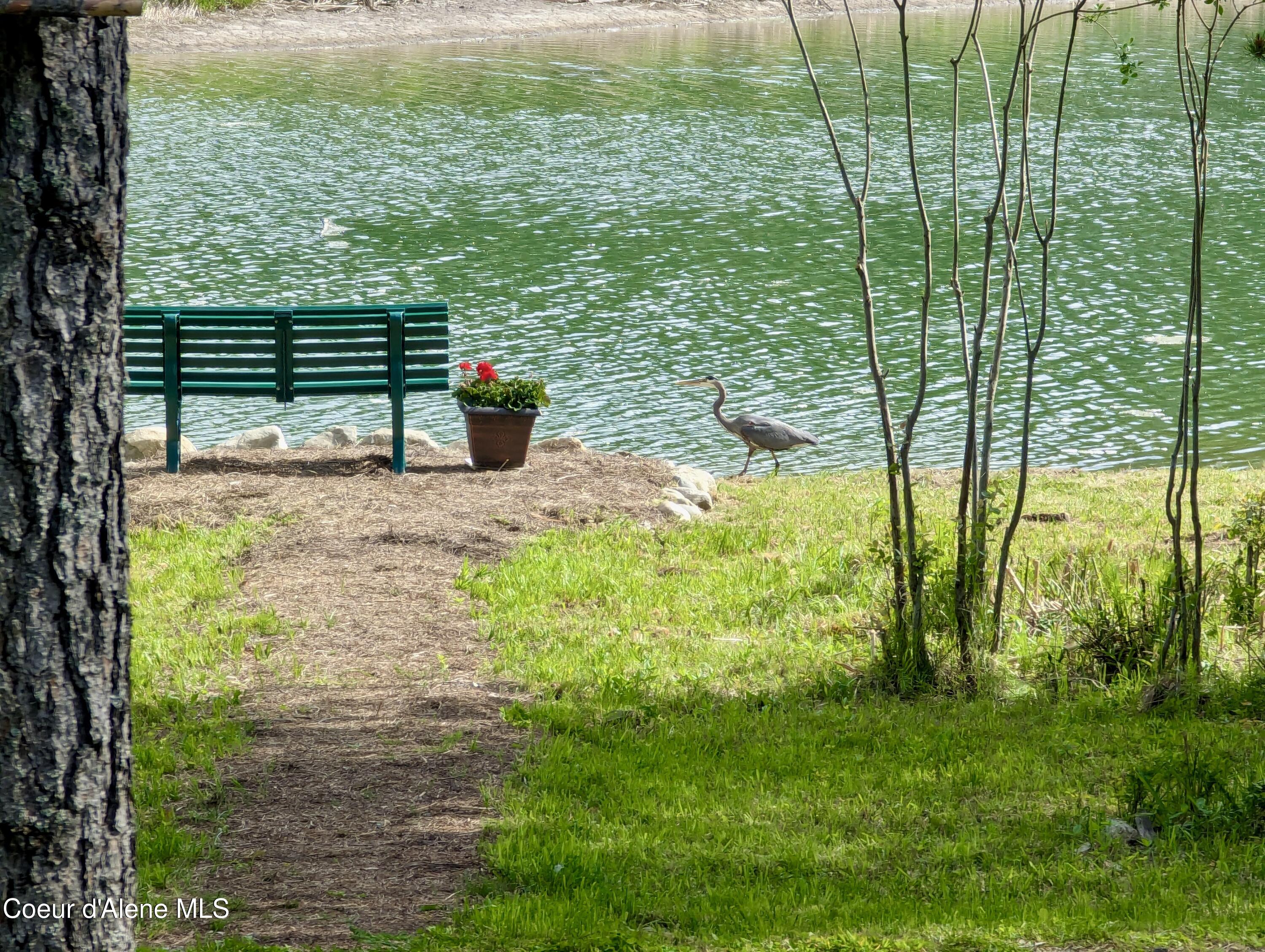 891 Ames Way Dover, ID 83825 - Photo 7 of 68 3 Blue Herron
