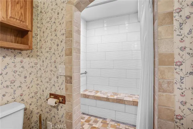 a bathroom with a shower and a toilet