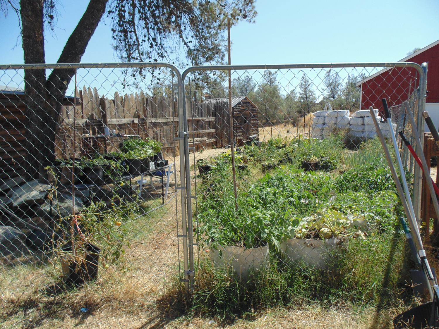 4161 Ginger Road Garden Valley, CA 95633 - Photo 12 of 32 a view of a garden