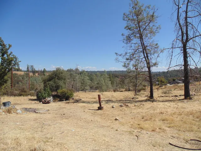 a view of a yard with a tree