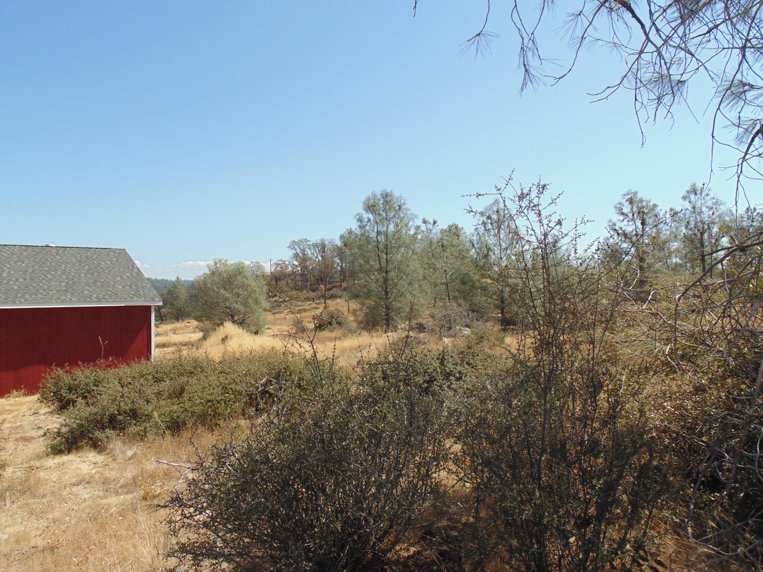 4161 Ginger Road Garden Valley, CA 95633 - Photo 14 of 32 a view of a bunch of trees and bushes