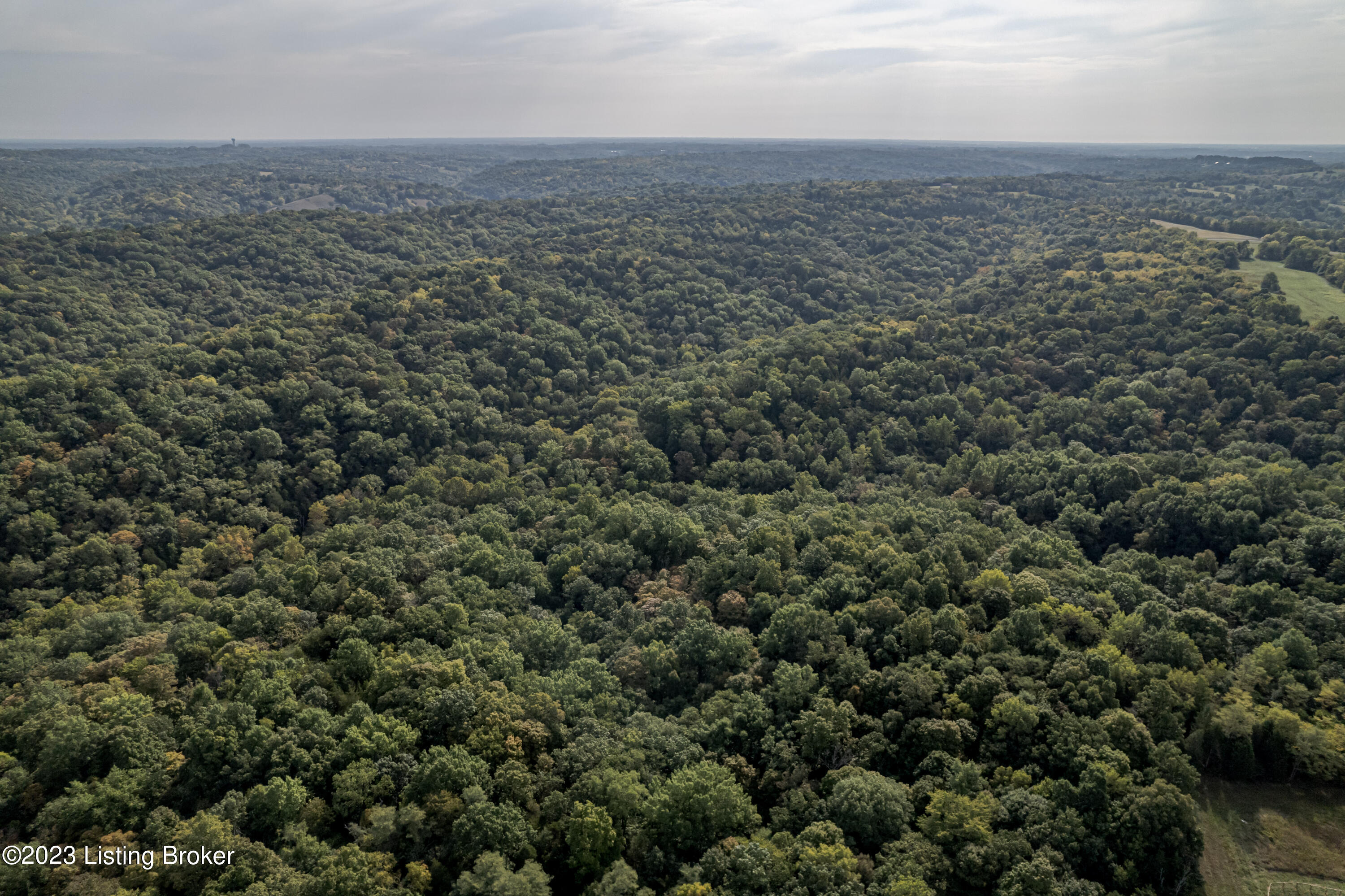 8001 Covington Ridge Road La Grange, KY 40031 - Photo 11 of 27 DJI_0836