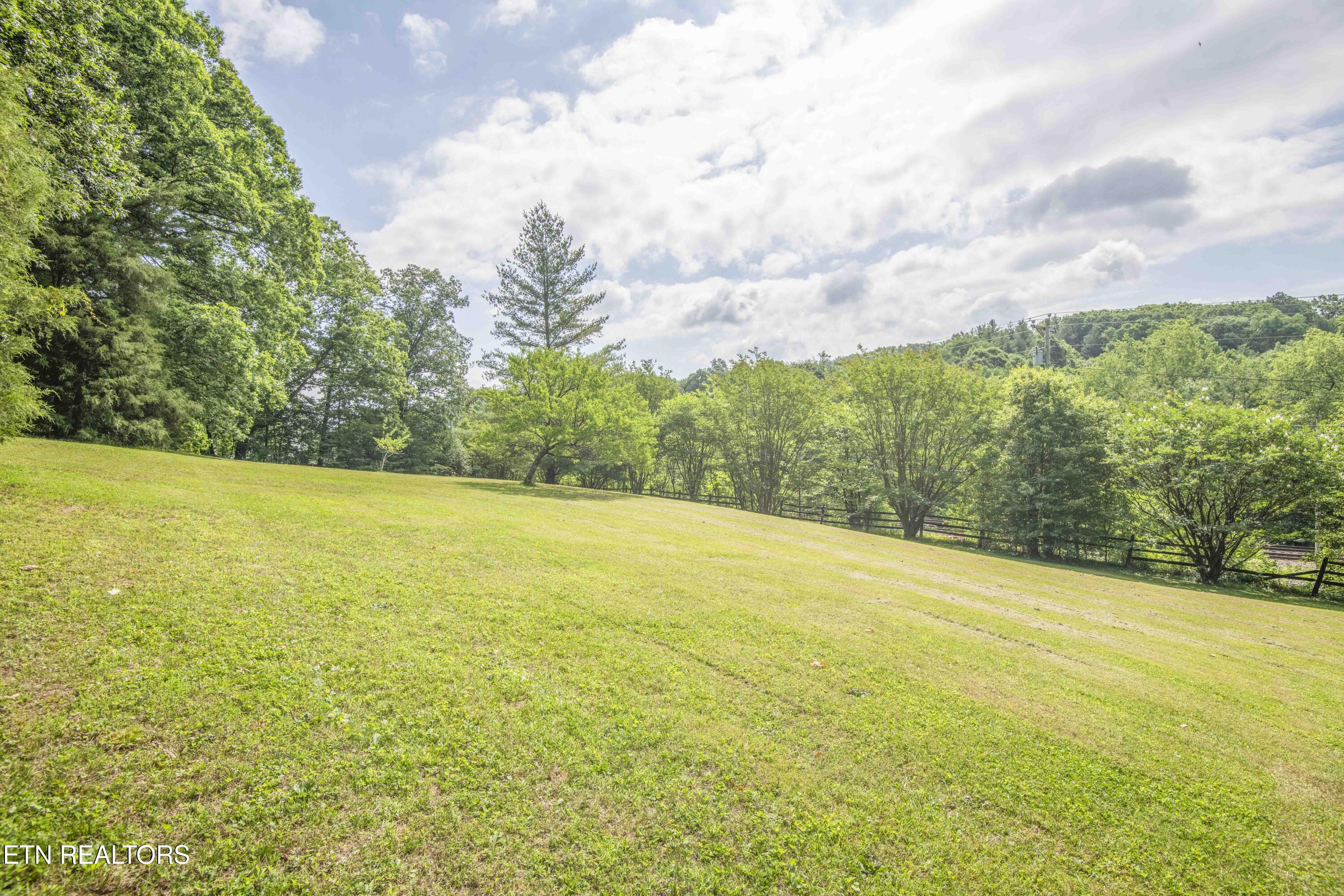 17761 Alberta Street Oneida, TN 37841 - Photo 50 of 56 yard 16_1