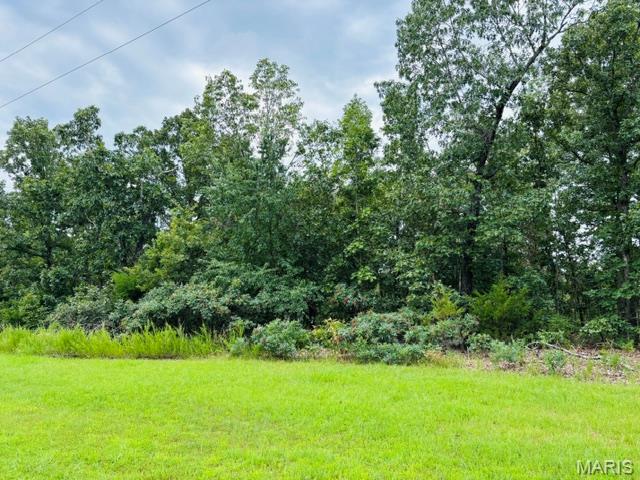 Lot 31 West Hickory Ridge Road Steelville, MO 65565 - Photo 2 of 8 Gallery Image 2