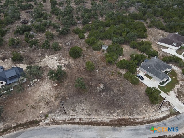 160 Restless Wind Spring Branch, TX 78070 - Photo 7 of 17