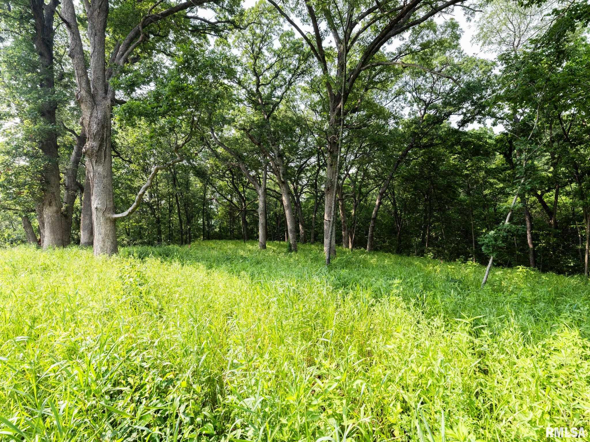 3041 Zion Oaks Road Pekin, IL 61554 - Photo 25 of 26 Gallery Image 25