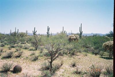 0 East Powerline Road Marana, AZ 85653 - Photo 9 of 10