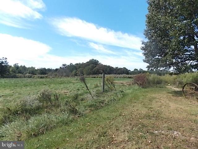 13634 Bobtown Road Princess Anne, MD 21853 - Photo 13 of 18 10 Acres of Land