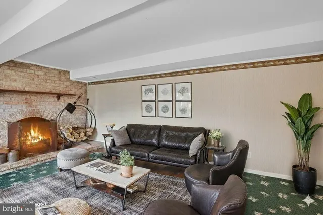 a living room with furniture a fireplace and a potted plant