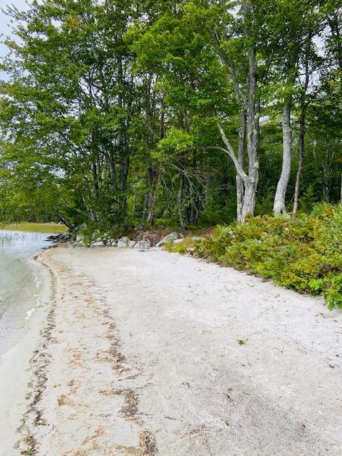 652 Herrick Road Sedgwick, ME 04673 - Photo 3 of 40 652 Herrick rd 3