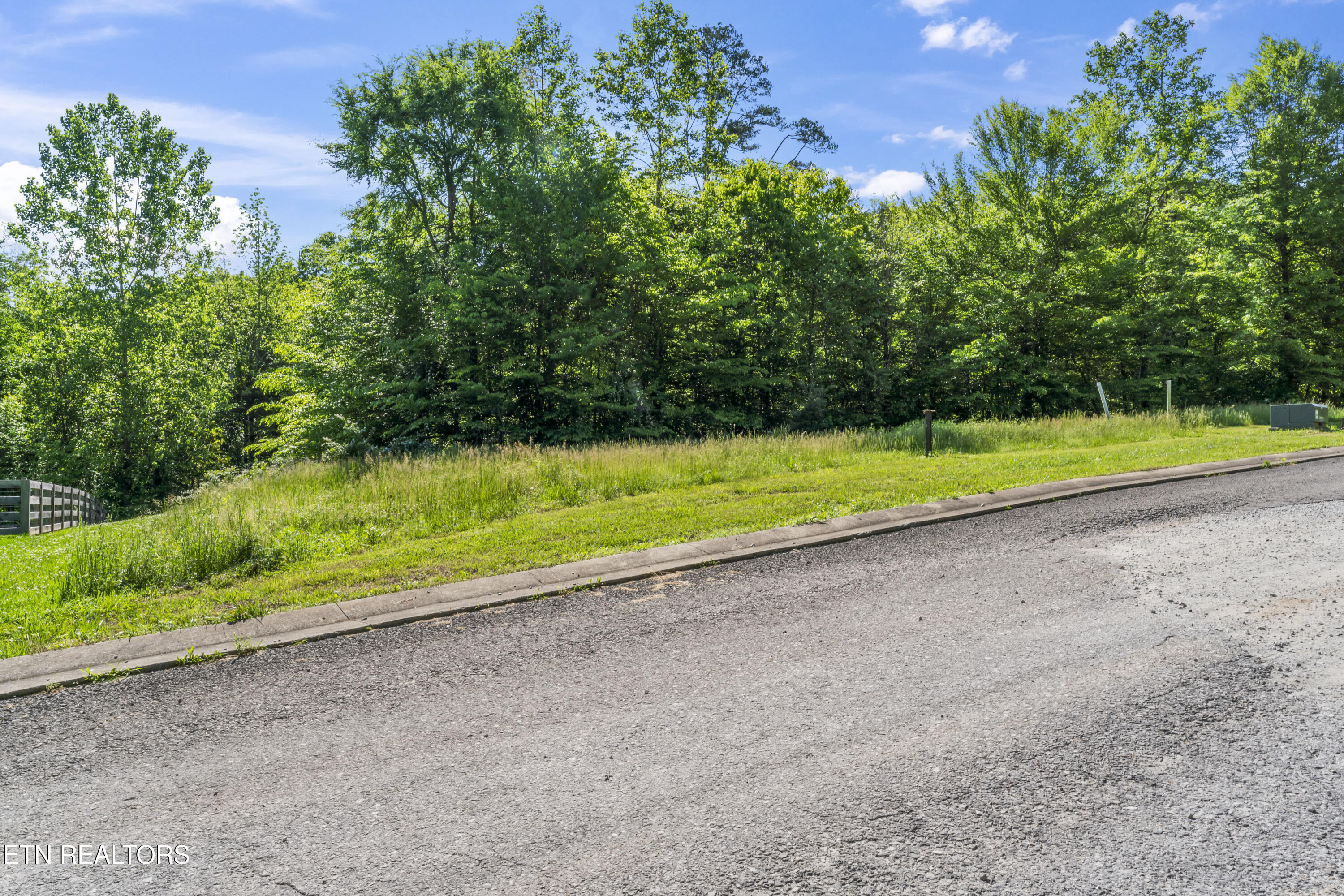 113 Cherry Oak Drive Oak Ridge, TN 37830 - Photo 11 of 17 print_quality-ABC06576