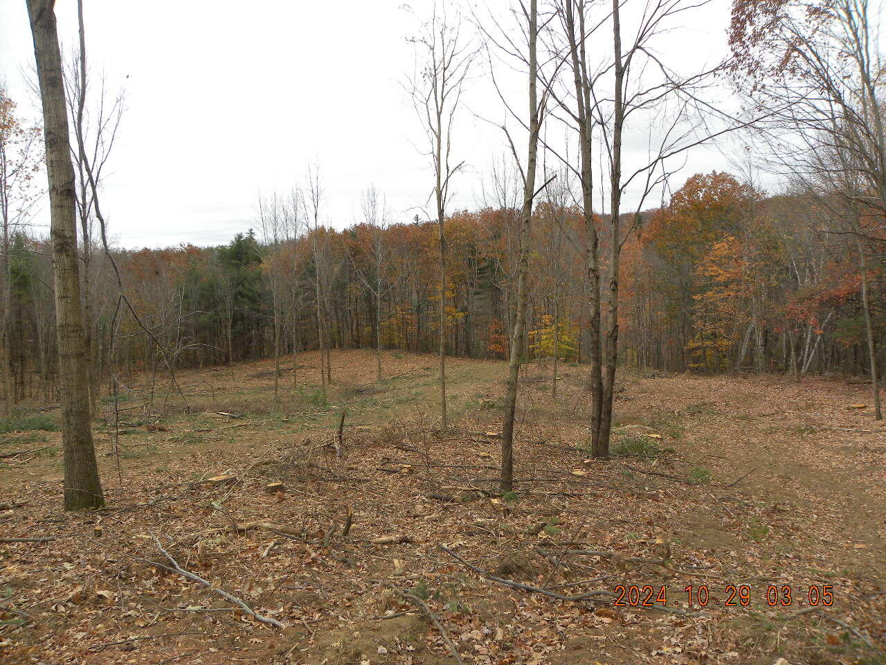 Tbd Gore Road Alfred, ME 04002 - Photo 29 of 33 DSCN9268