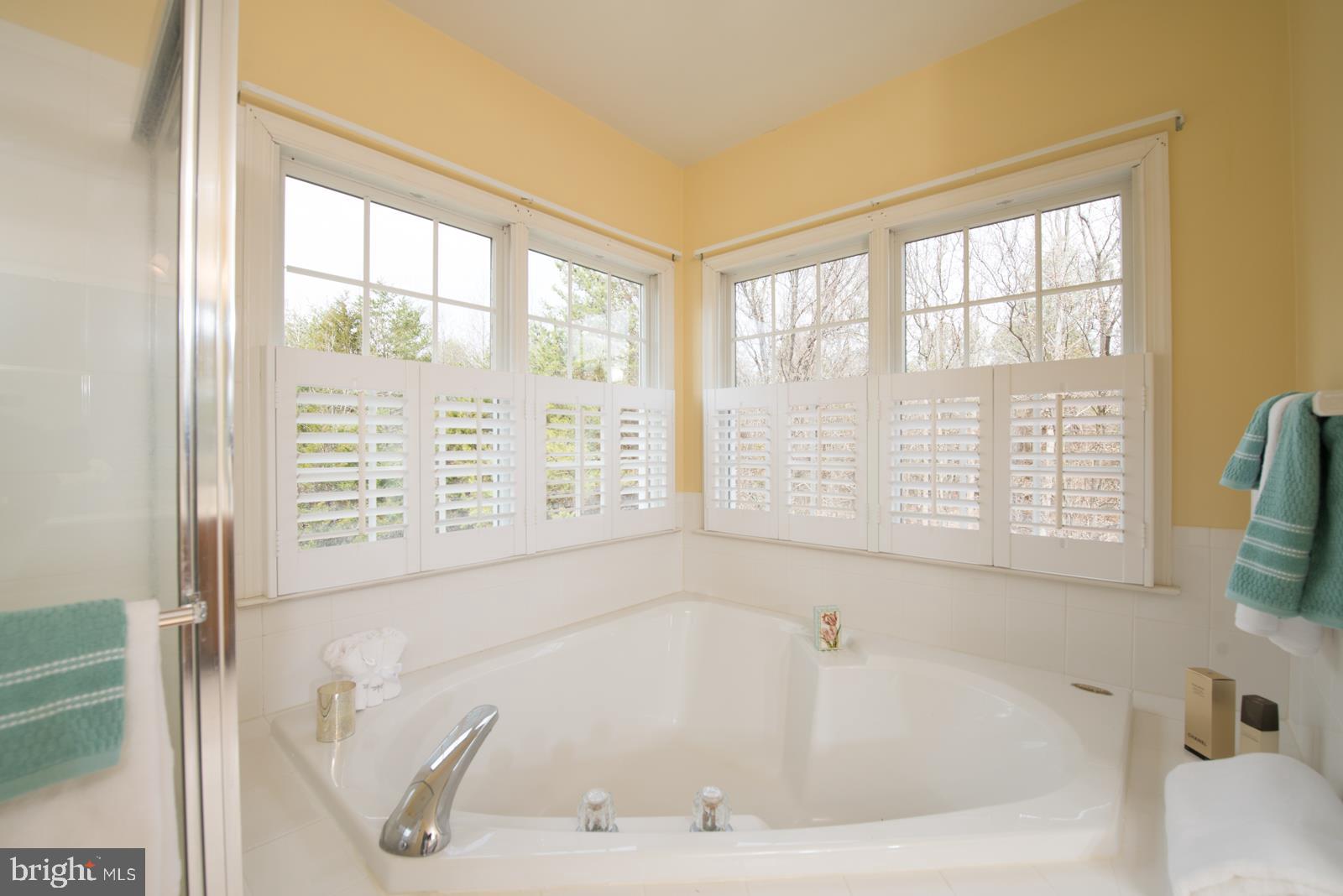 2604 Howard Grove Road Davidsonville, MD 21035 - Photo 21 of 36 MBR Corner Soaking tub