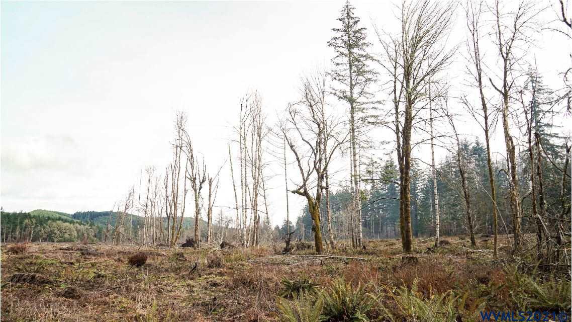 Gooseneck (parcel 289476) Road Sheridan, OR 97378 - Photo 13 of 23