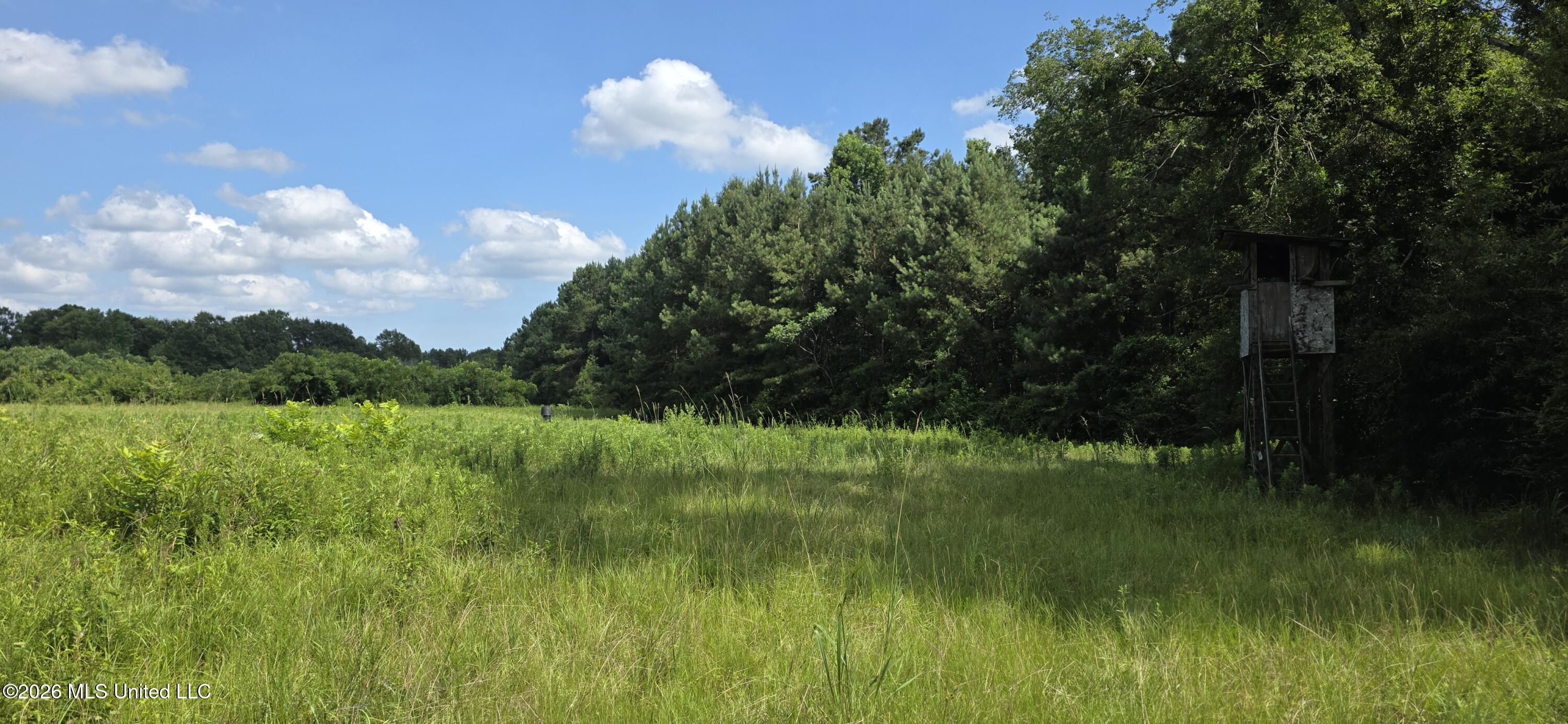 2046 Barto Leggett Road McComb, MS 39648 - Photo 3 of 29 20260623_155834