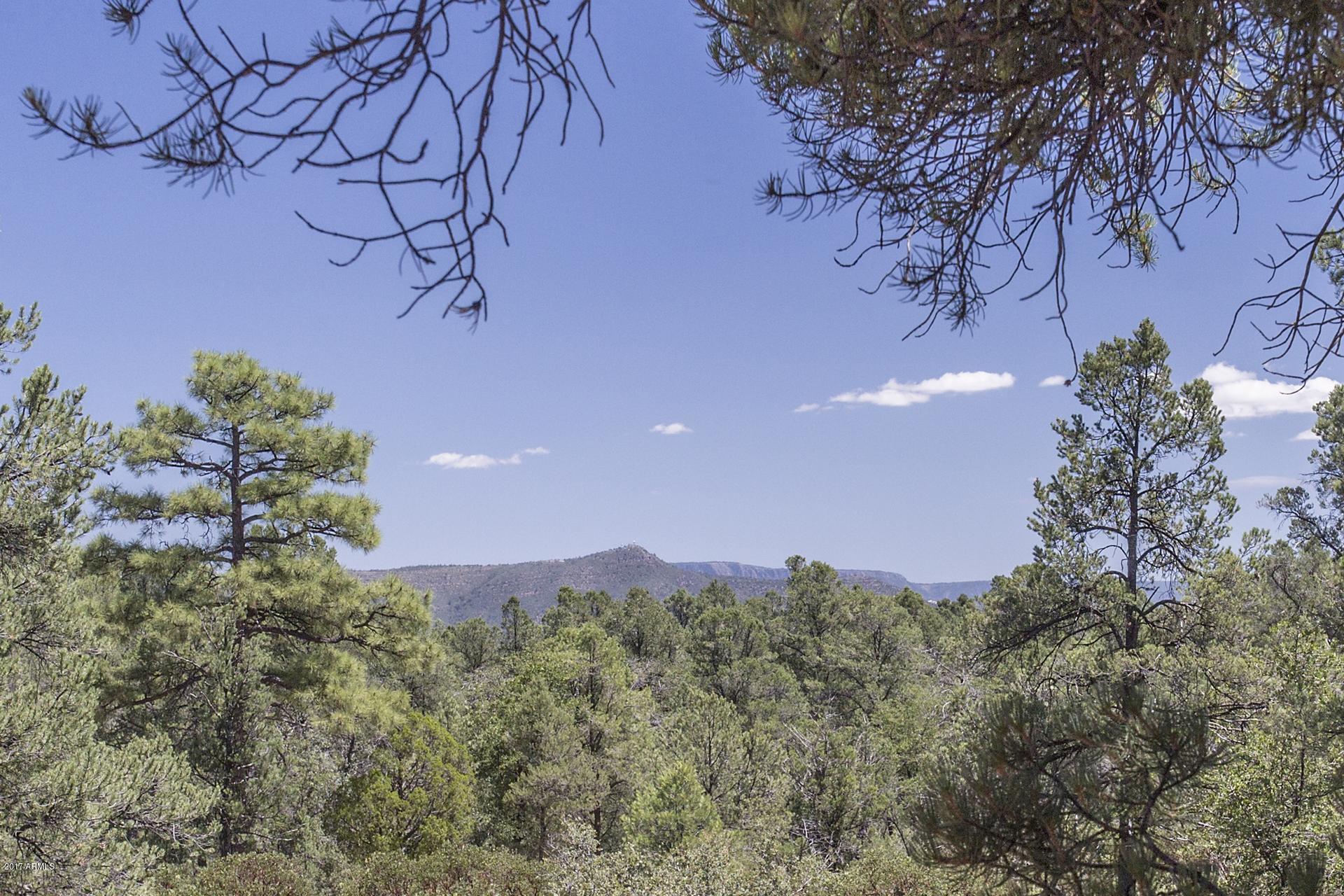 401 South Whisper Ridge Lane Payson, AZ 85541 - Photo 20 of 27 IMG_39