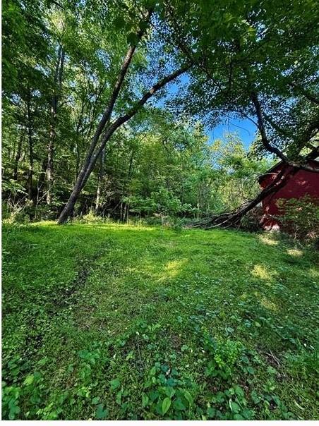 0 Nellie School Road Vanderbilt, PA 15486 - Photo 1 of 3