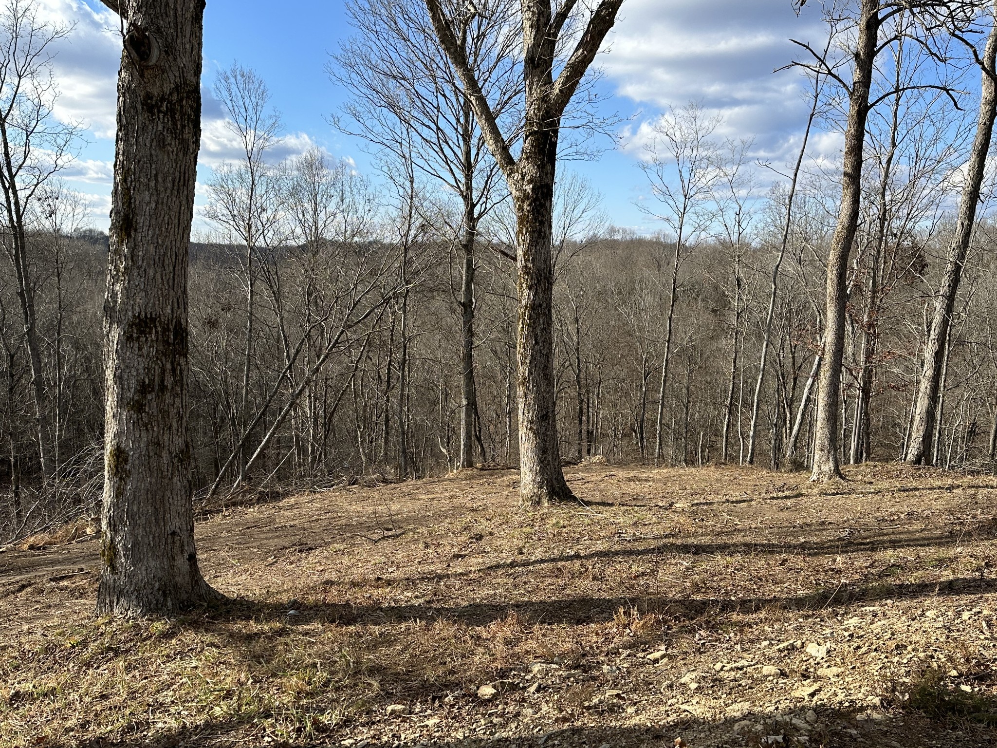 4629 Old Bottom Road Lafayette, TN 37083 - Photo 43 of 58 Gallery Image 43
