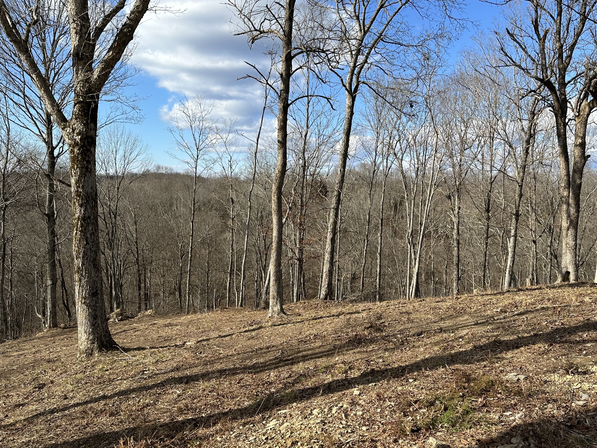 4629 Old Bottom Road Lafayette, TN 37083 - Photo 44 of 58 Gallery Image 44