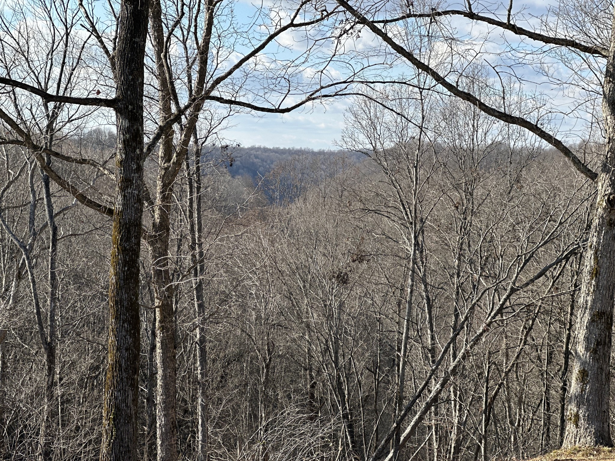 4629 Old Bottom Road Lafayette, TN 37083 - Photo 45 of 58 Gallery Image 45