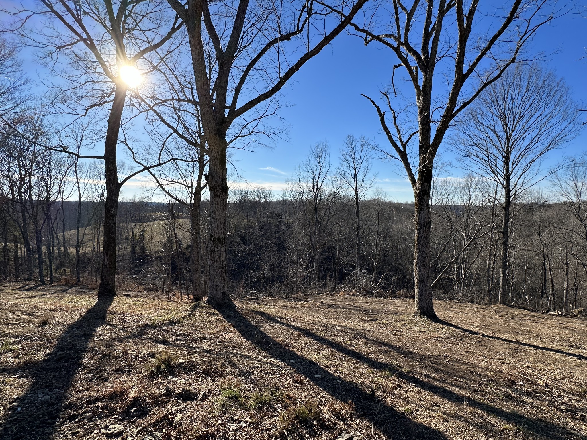 4629 Old Bottom Road Lafayette, TN 37083 - Photo 46 of 58 Gallery Image 46