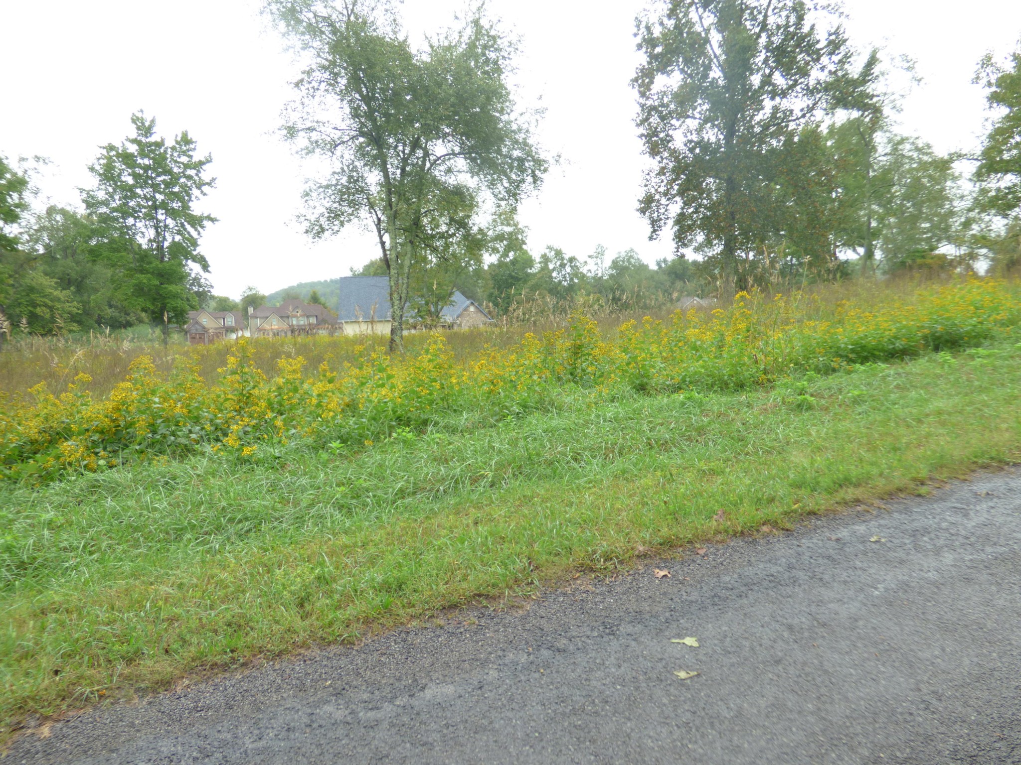 0 Stump Hollow Road Spring City, TN 37381 - Photo 9 of 12 Gallery Image 9