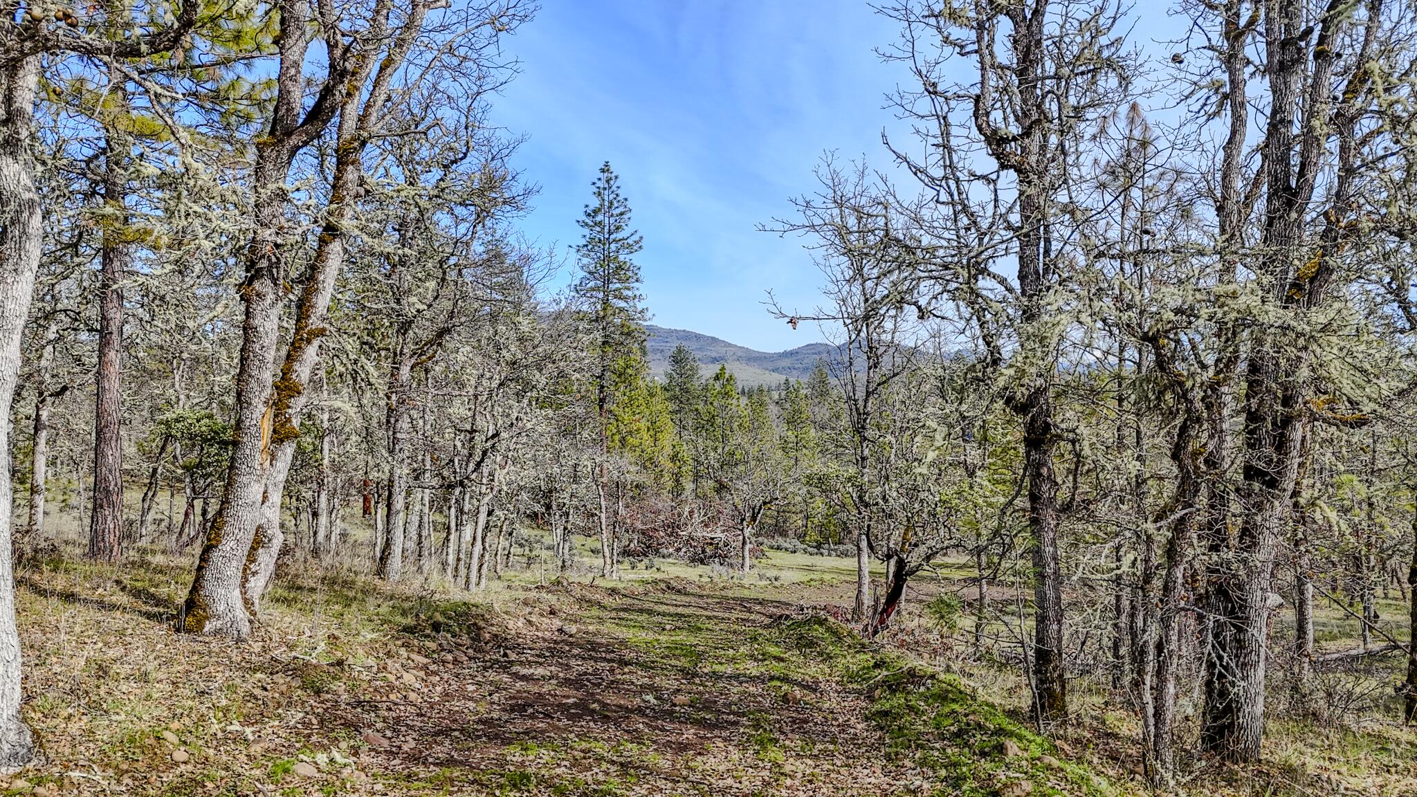 506 Greenleaf Drive Eagle Point, OR 97524 - Photo 30 of 38 DJI_20260227141343_0574_D-HDR