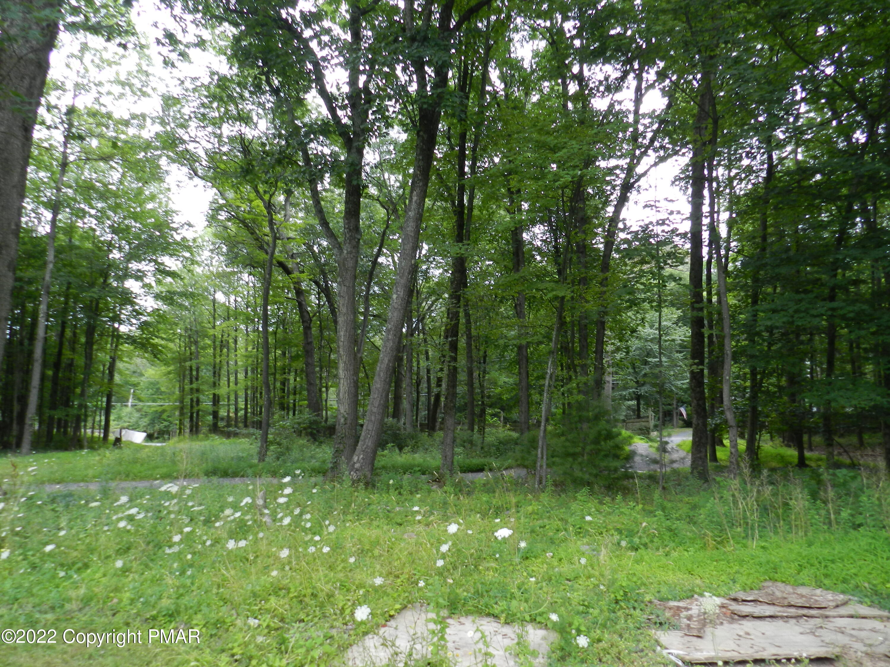 1269 Burger Hollow Road Effort, PA 18330 - Photo 11 of 49 a view of outdoor space with green field