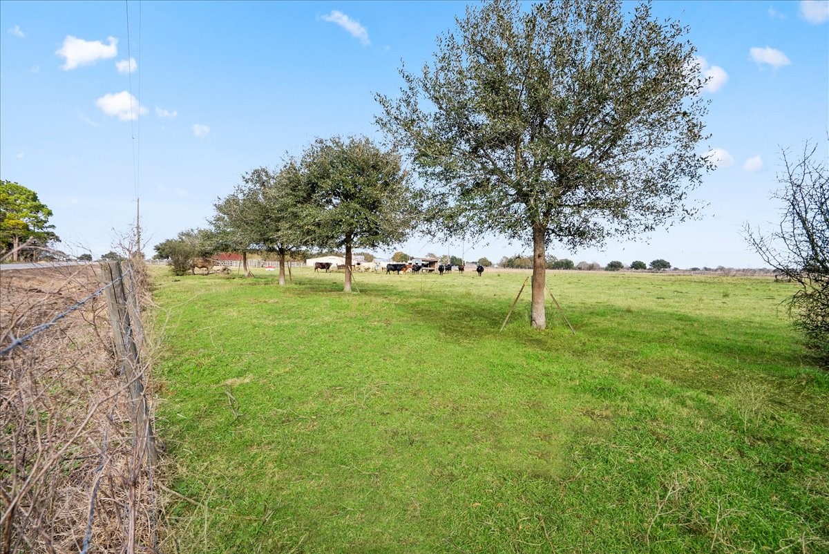 Tbd Mueck Road Needville, TX 77461 - Photo 2 of 29