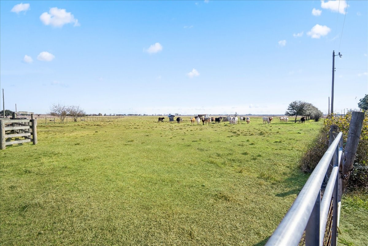 Tbd Mueck Road Needville, TX 77461 - Photo 28 of 29