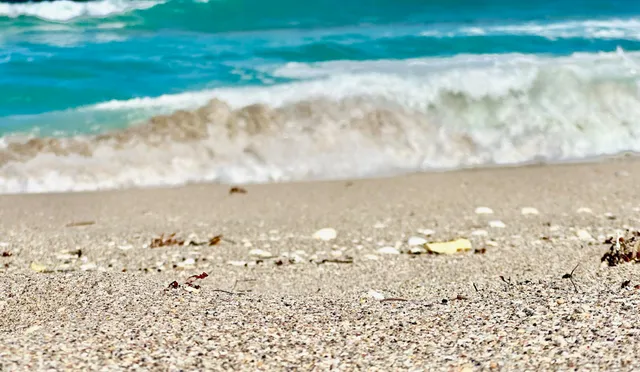 $625,000 | 5400 North Ocean Drive, Unit 5C, Singer Island, FL 33404