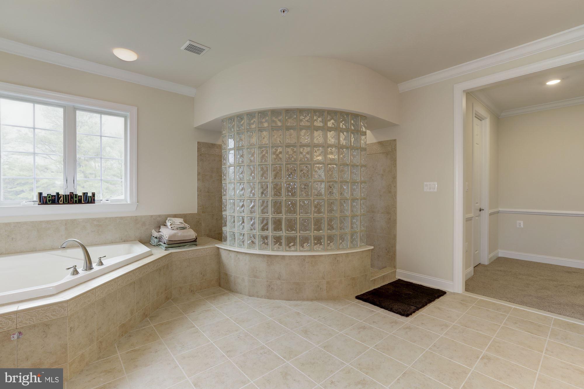 3839 Wayson Road Davidsonville, MD 21035 - Photo 48 of 82 Separate Shower & Soaking Tub