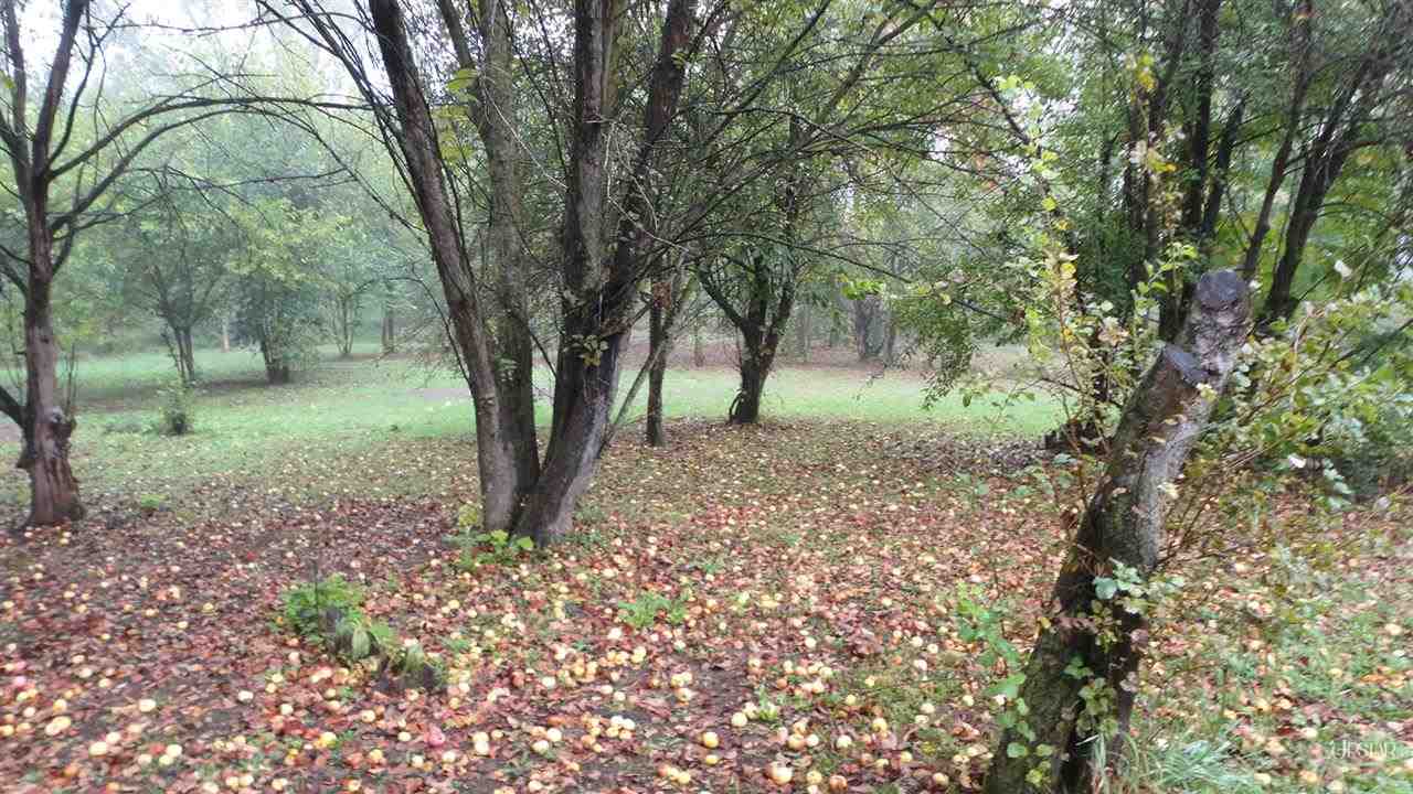16215 Hand Road Huntertown, IN 46748 - Photo 11 of 18