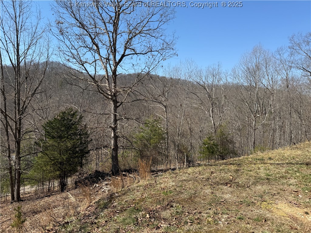 2337 Big Pigeon Road Procious, WV 25164 - Photo 7 of 37 Gallery Image 7