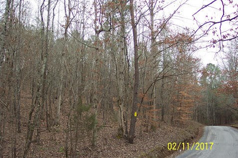 687 Redman Lane Decatur, TN 37322 - Photo 1 of 8 Gallery Image 1