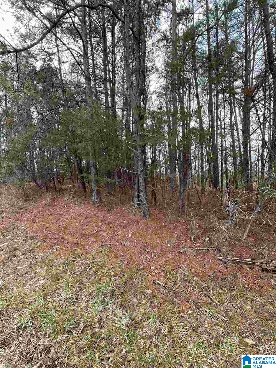 3396 Woodruff Mill Road, Unit 6 Adamsville, AL 35005 - Photo 1 of 5