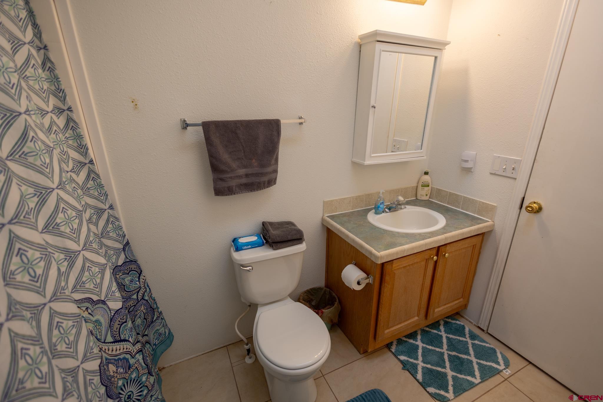 13569 3100th Road Hotchkiss, CO 81419 - Photo 18 of 31 a bathroom with a toilet a sink and mirror