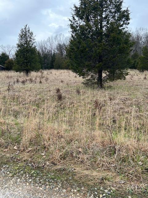 1075 Cooper Road West Union, OH 45693 - Photo 6 of 10
